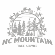 NC Mountain Tree Service logo featuring trees and saw blade design – serving Candler and Western North Carolina