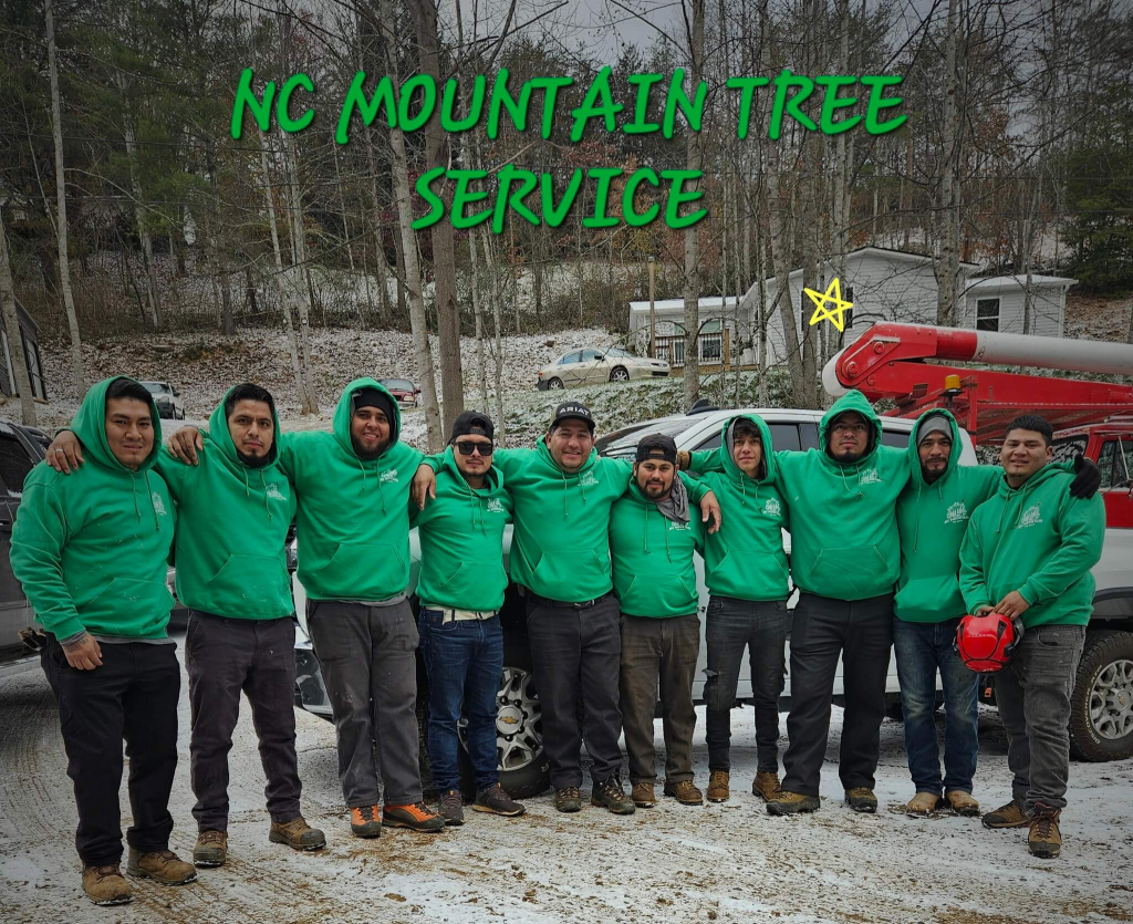 Group photo of the NC Mountain Tree Service team in green uniforms standing together in Candler, North Carolina